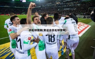 羽毛球视频(奥运会羽毛球视频)