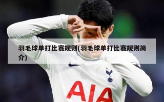 羽毛球单打比赛规则(羽毛球单打比赛规则简介)
