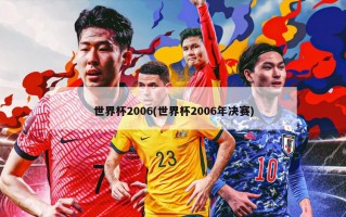 世界杯2006(世界杯2006年决赛)