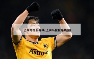 上海马拉松路线(上海马拉松路线图)