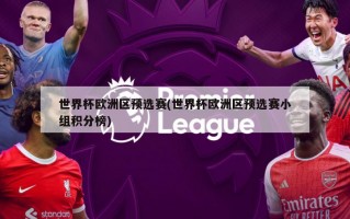 世界杯欧洲区预选赛(世界杯欧洲区预选赛小组积分榜)