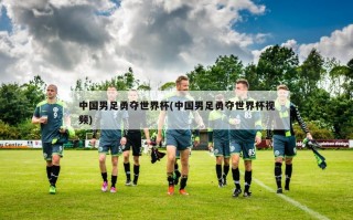 中国男足勇夺世界杯(中国男足勇夺世界杯***)