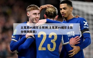 土耳其vs威尔士预测(土耳其vs威尔士比分预测网易)