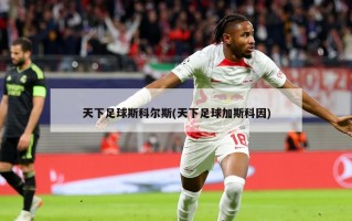 天下足球斯科尔斯(天下足球加斯科因)