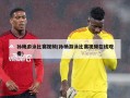 孙杨游泳比赛视频(孙杨游泳比赛视频在线观看)