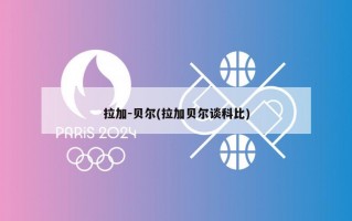 拉加-贝尔(拉加贝尔谈科比)