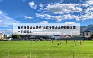 北京冬奥会金牌榜(北京冬奥会金牌榜排名第一的国家)