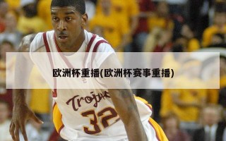 ***重播(***赛事重播)