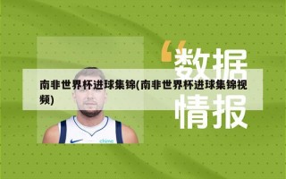南非世界杯进球集锦(南非世界杯进球集锦***)