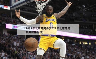 2022年北京冬奥会(2022年北京冬奥会奖牌排行榜)