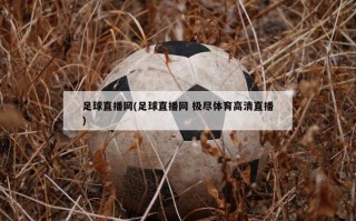 足球直播网(足球直播网 极尽体育高清直播)