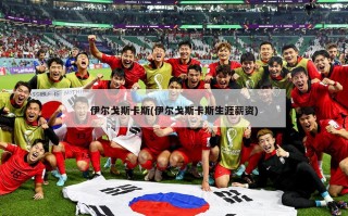 伊尔戈斯卡斯(伊尔戈斯卡斯生涯薪资)