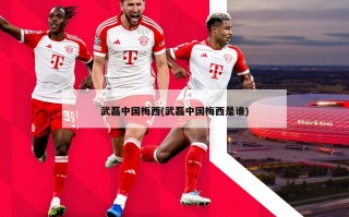武磊中国梅西(武磊中国梅西是谁)