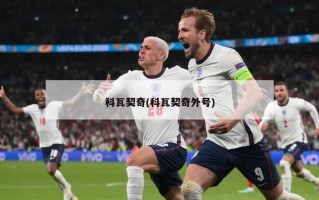 科瓦契奇(科瓦契奇外号)