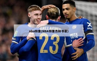 nba特里(NBA特里杰林书豪)