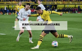 欧洲杯2012决赛(欧洲杯2012决赛比分)