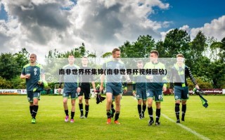 南非世界杯集锦(南非世界杯视频回放)