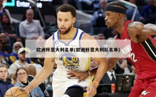 欧洲杯意大利名单(欧洲杯意大利队名单)