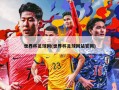 世界杯足球网(世界杯足球网站官网)