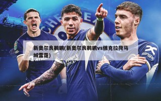 新奥尔良鹈鹕(新奥尔良鹈鹕vs俄克拉荷马城雷霆)